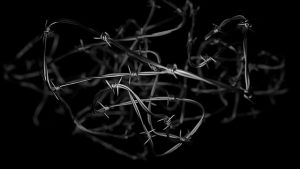 Barbed wire